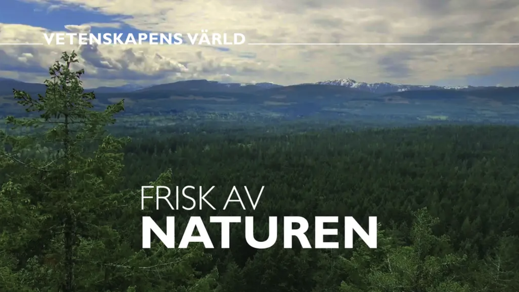 Länk till SVTs Vetenskapens värld om att bli frisk - av naturen!